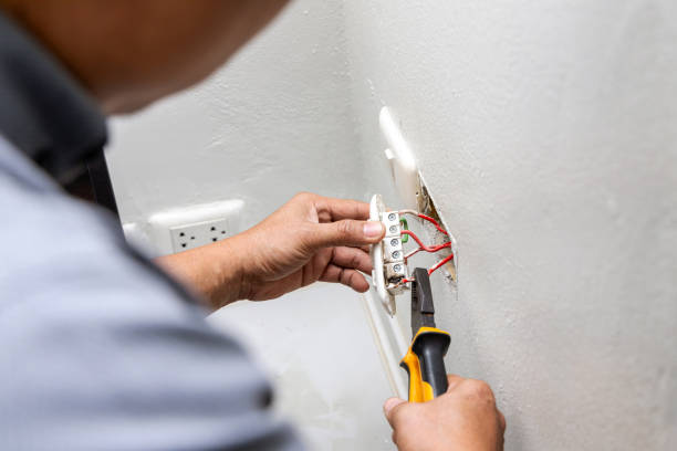 Best Ceiling Fan Installation Electrician  in Merton, WI