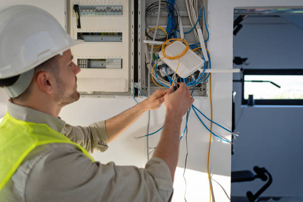 Best Electric Panel Repair  in Merton, WI